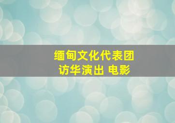 缅甸文化代表团访华演出 电影